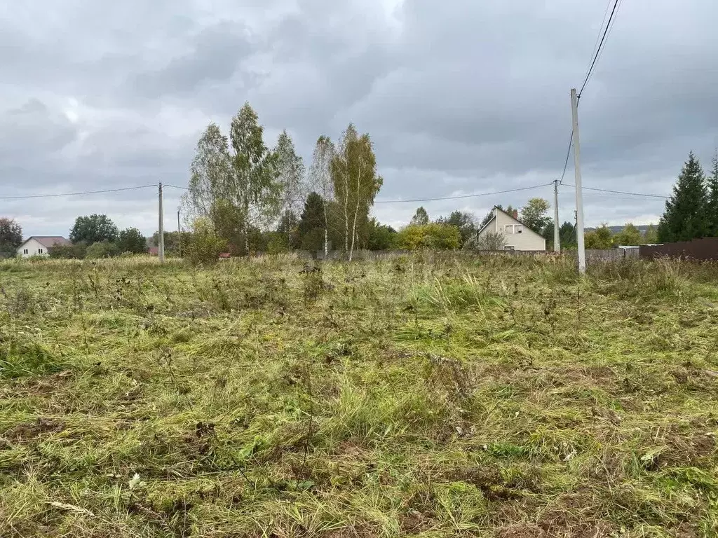 Участок в Калужская область, Боровский муниципальный округ, Кривское ... - Фото 1