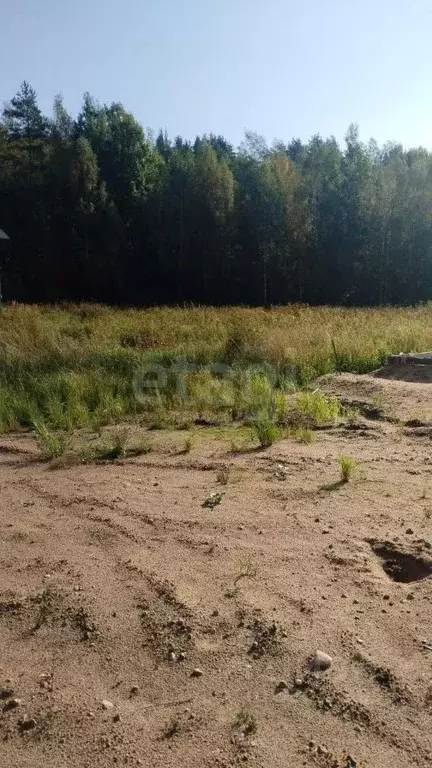Участок в Ленинградская область, Приозерский район, Красноозерное ... - Фото 1