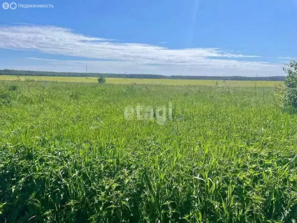 Участок в село Иваново, Луговая улица (15 м) - Фото 0