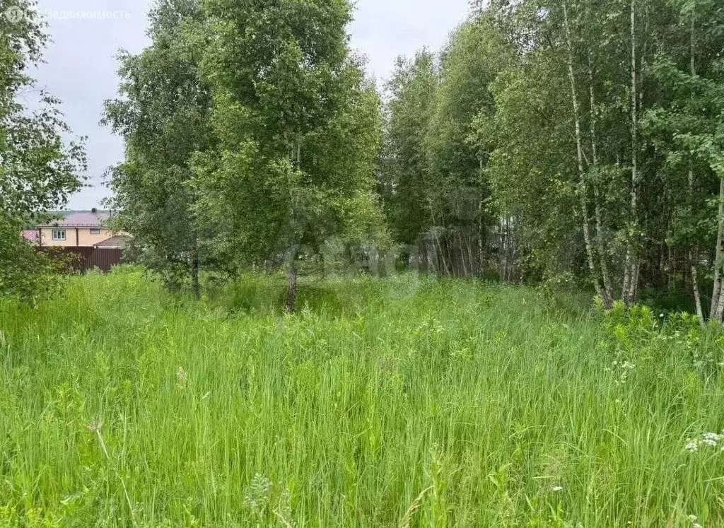 Участок в Московская область, городской округ Серпухов, деревня ... - Фото 1