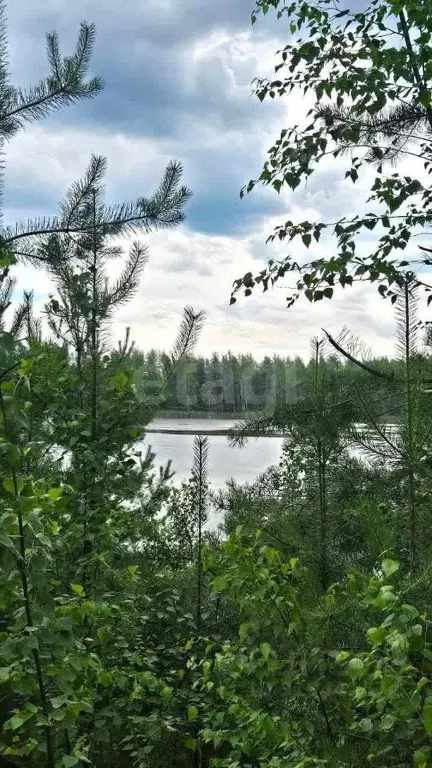 Участок в Костромская область, Кострома Струя-2 СНТ,  (7.4 сот.) - Фото 0
