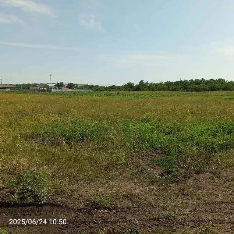 Участок в Оренбургская область, Оренбургский район, пос. Весенний ул. ... - Фото 1