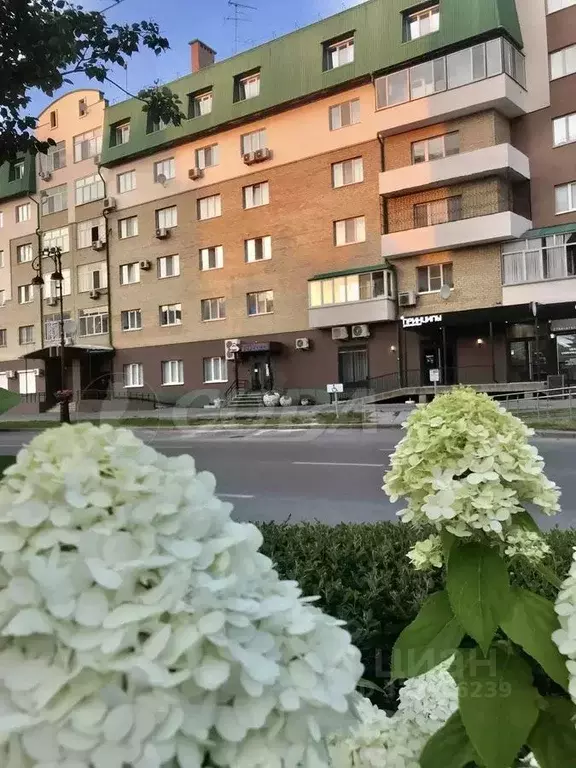 3-к кв. Тюменская область, Тюмень ул. Сакко, 5 (117.0 м) - Фото 1