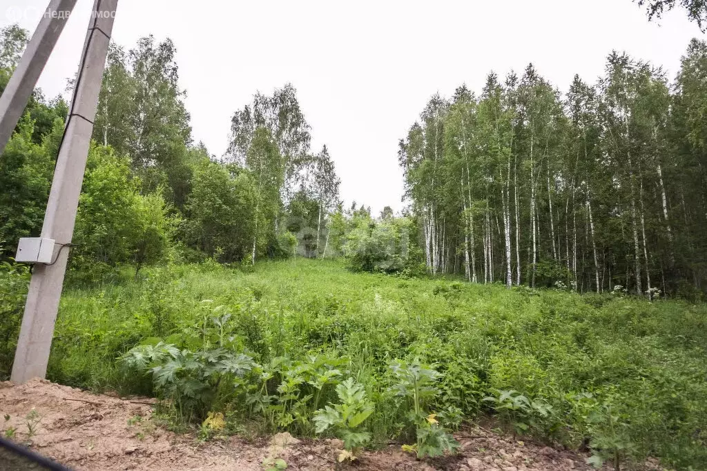 Участок в Морозовский сельсовет, дачное некоммерческое товарищество ... - Фото 2