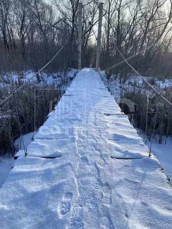 Участок в Воронежская область, Новоусманский район, Орловское с/пос, ... - Фото 2