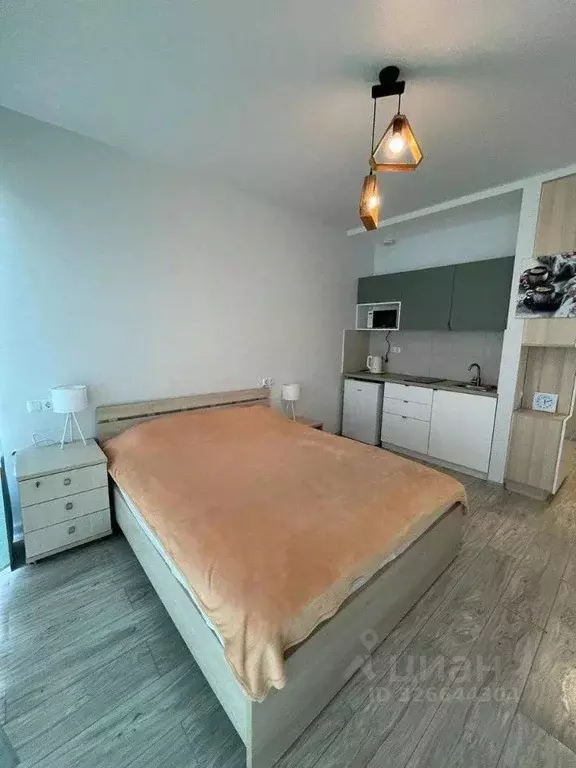 Студия Краснодарский край, Сочи Светлана мкр, ул. Депутатская, 15/10 ... - Фото 1