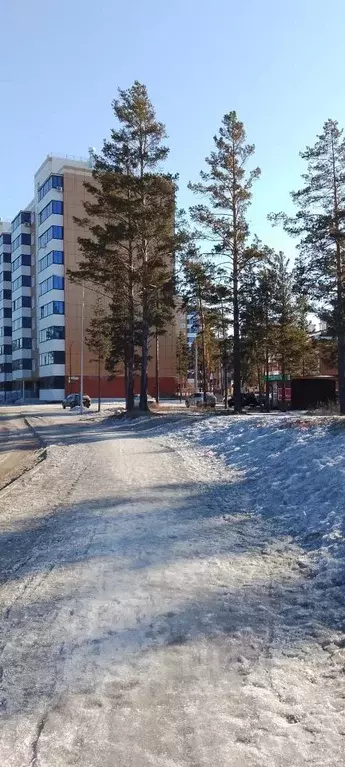 1-к кв. Бурятия, Улан-Удэ ул. Имени Д.Ц. Дашиева, 6 (31.6 м) - Фото 1