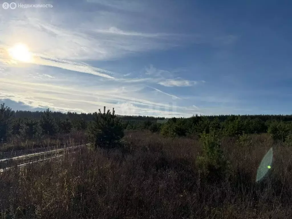 Участок в муниципальное образование Новосельское, деревня Черноситово ... - Фото 0