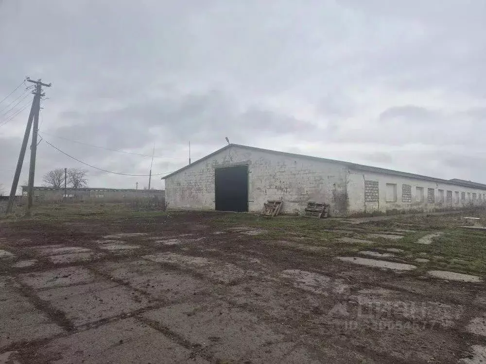 Помещение свободного назначения в Краснодарский край, Северский район, ... - Фото 1