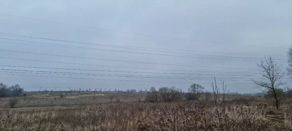 Участок в Тульская область, Тула городской округ, д. Прудное  (888.0 ... - Фото 1