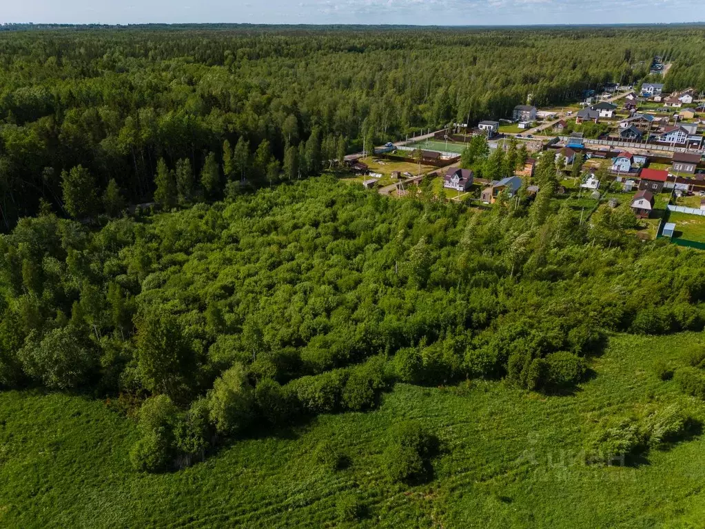 Участок в Ленинградская область, Всеволожский район, Колтушское ... - Фото 1