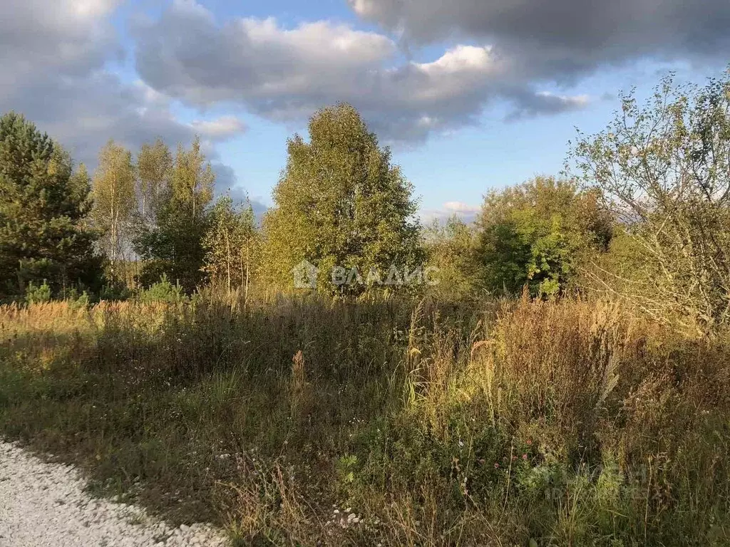 Участок в Владимирская область, Ковровский муниципальный округ, д. ... - Фото 2