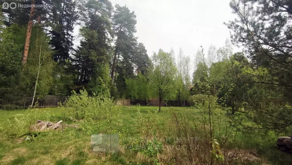 Участок в Московская область, городской округ Пушкинский, деревня ... - Фото 1