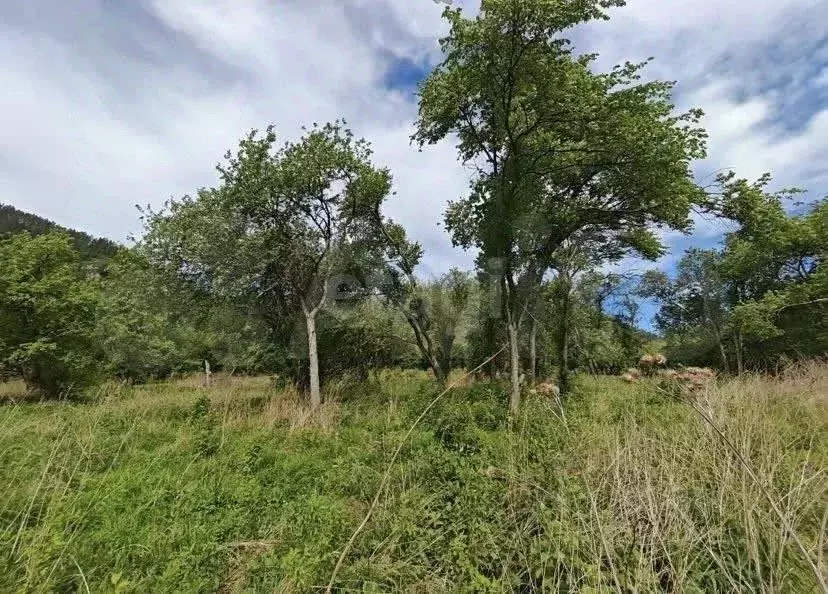 Участок в Алтай, Чемальский район, Радуга Жизни СНТ  (16.0 сот.) - Фото 1
