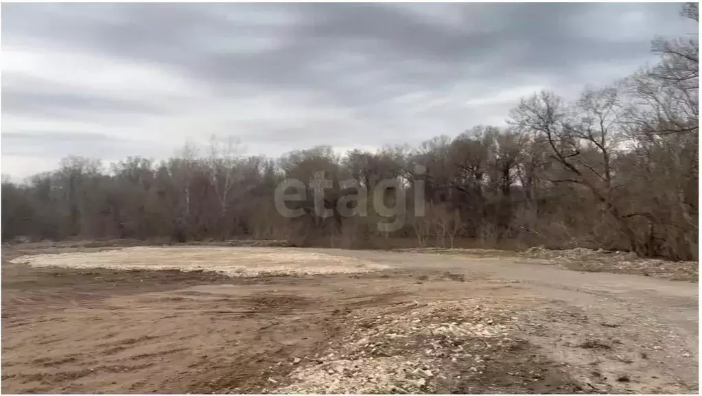 Участок в Оренбургская область, Оренбургский район, Красноуральский ... - Фото 1