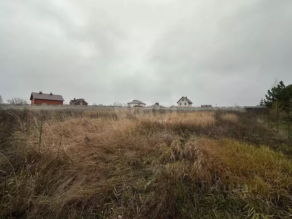 Участок в Белгородская область, Белгородский район, Комсомольское ... - Фото 2