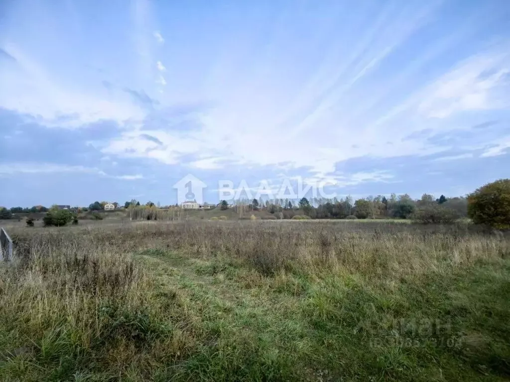 Участок в Московская область, Одинцовский городской округ, д. Рязань ... - Фото 1