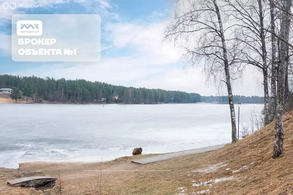 Дом в городской посёлок Рощино, Социалистическая улица (700 м) - Фото 2