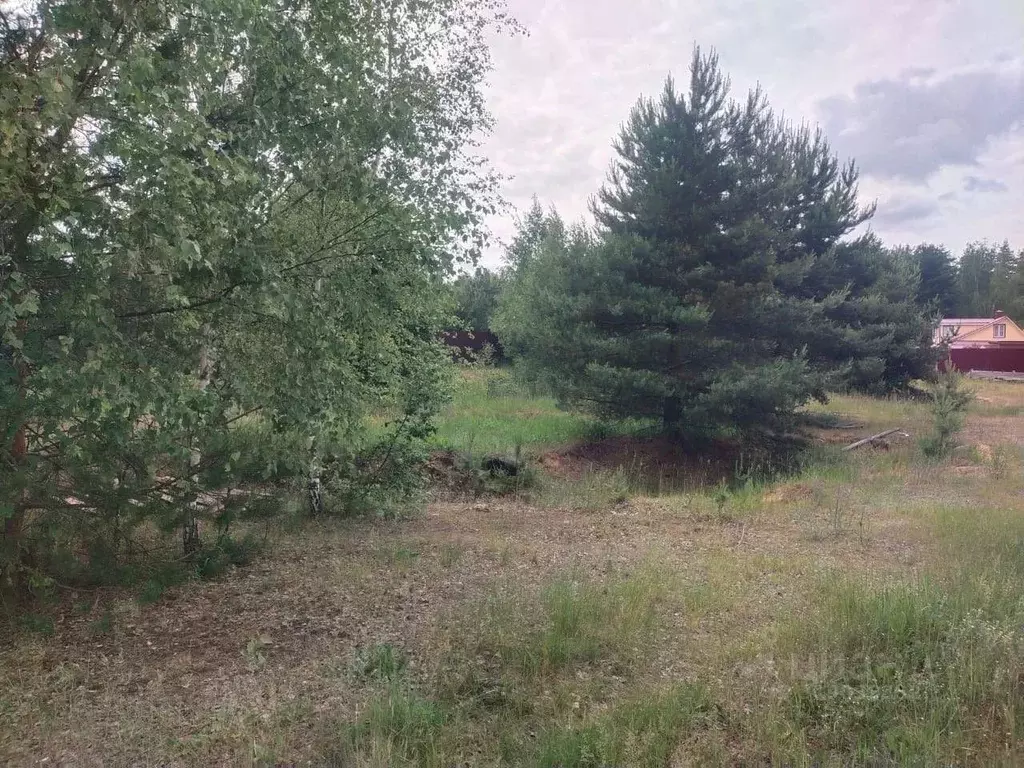 Участок в Московская область, Орехово-Зуевский городской округ, д. ... - Фото 1