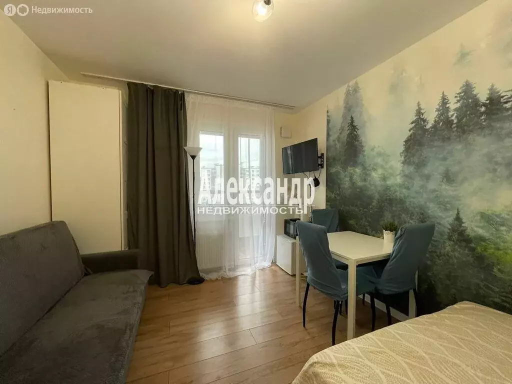 Квартира-студия: Санкт-Петербург, набережная реки Каменки, 19к3 (20 м) - Фото 0