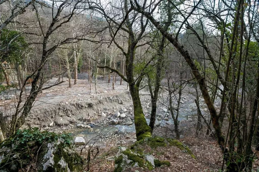 Участок в Крым, Ялта муниципальный округ, Виноградное пгт  (15.0 сот.) - Фото 2