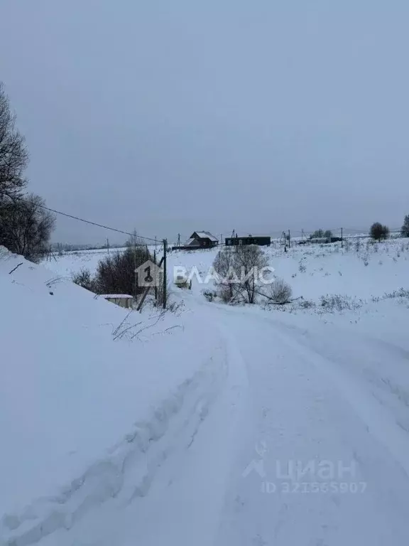 Участок в Владимирская область, Суздальский район, Павловское ... - Фото 1