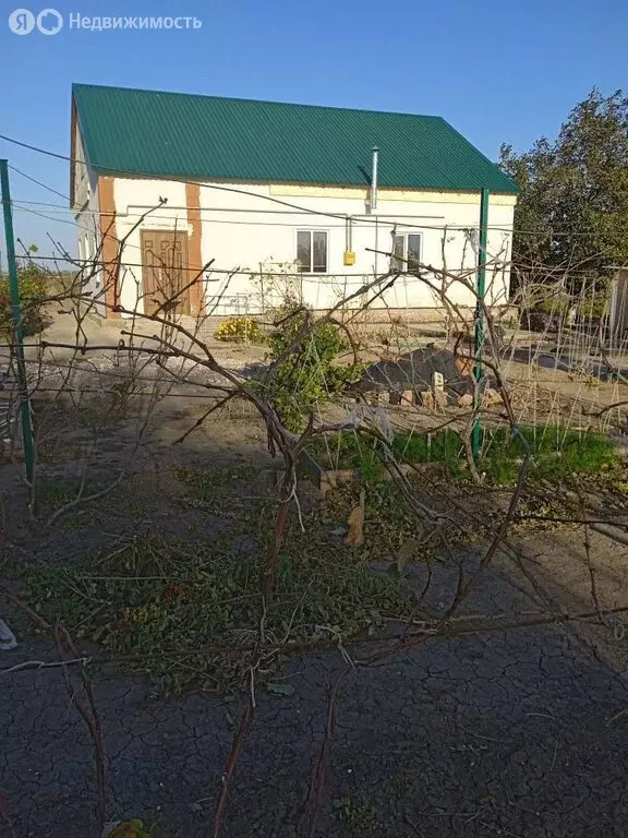 Дом в Копанская, улица Хрюкина (80 м) - Фото 1