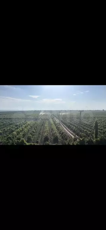Участок 400 га (СНТ, ДНП) - Фото 0