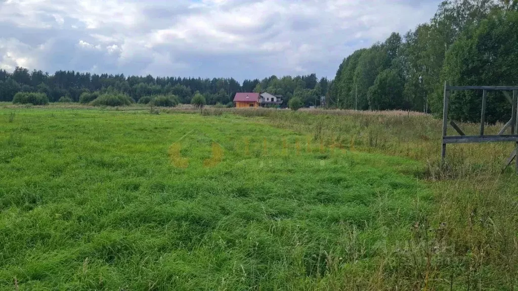 Участок в Ленинградская область, Выборгский район, Рощинское городское ... - Фото 1