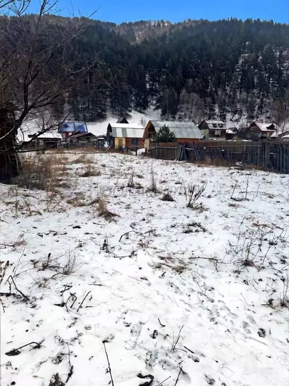 Участок в Алтай, Чемальский район, Элекмонарское с/пос, с. Элекмонар ... - Фото 2