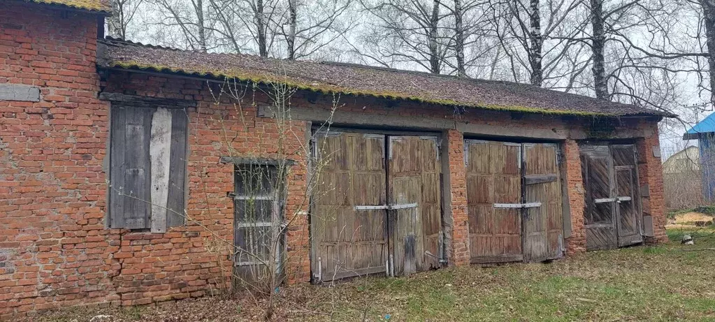 Гараж в Тамбовская область, Моршанский муниципальный округ, пос. ... - Фото 1