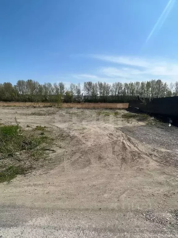 Участок в Новосибирская область, Новосибирск Геофизик СНТ,  (10.0 ... - Фото 0