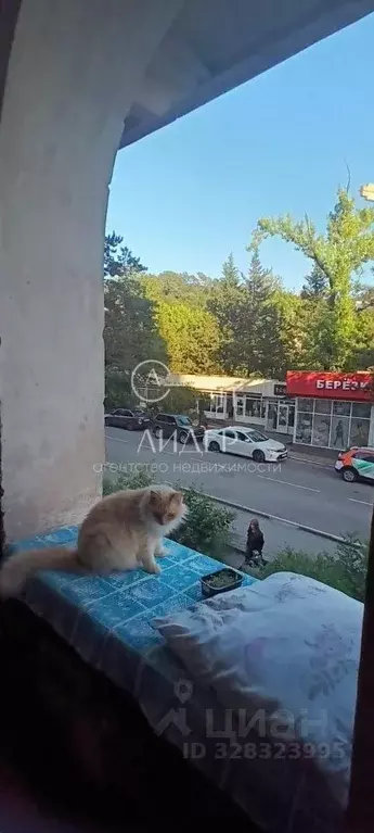 3-к кв. Краснодарский край, Сочи городской округ, Дагомыс пгт ш. ... - Фото 1