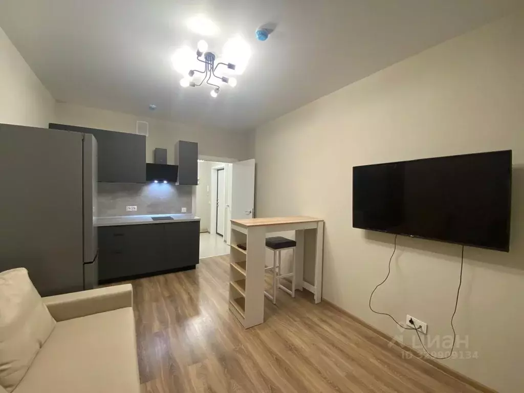 Студия Московская область, Долгопрудный Парковая ул., 44к1 (23.0 м) - Фото 1