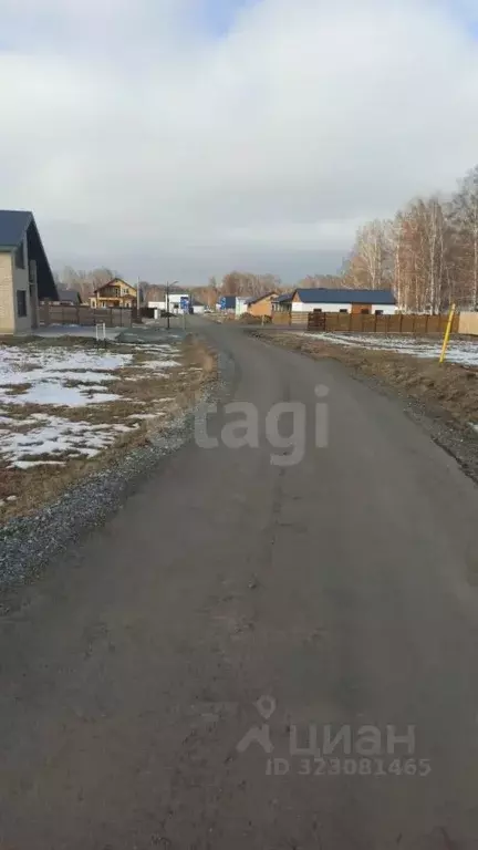 Участок в Новосибирская область, Новосибирский район, Сибирские ... - Фото 2