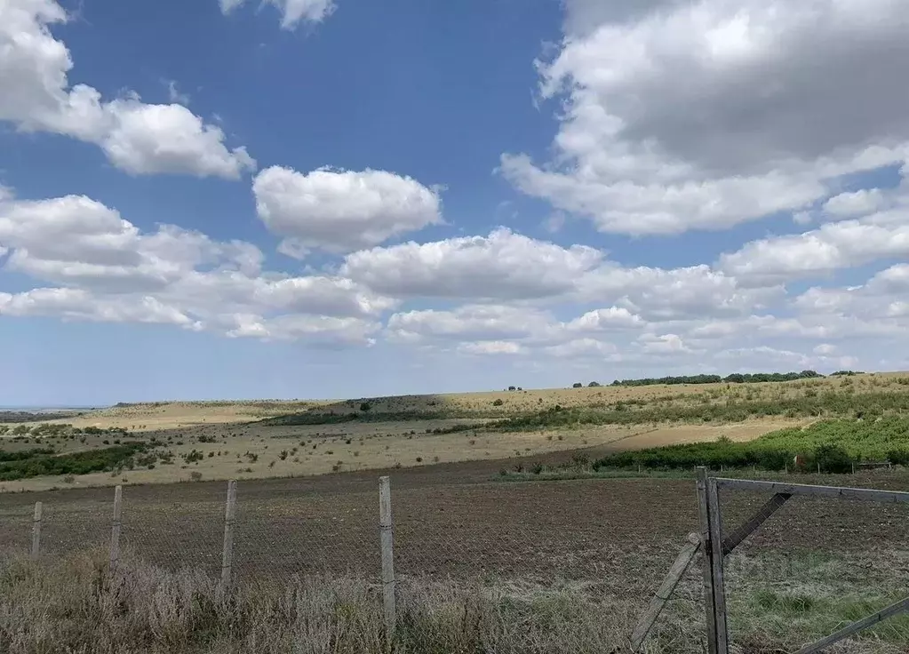 Участок в Краснодарский край, Анапа муниципальный округ, пос. ... - Фото 1