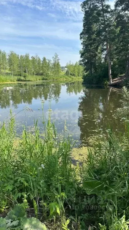 Участок в Новосибирская область, Новосибирский район, Барышевский ... - Фото 0