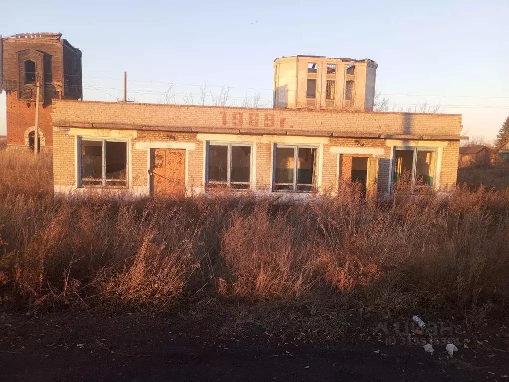 Помещение свободного назначения в Новосибирская область, Татарский ... - Фото 1