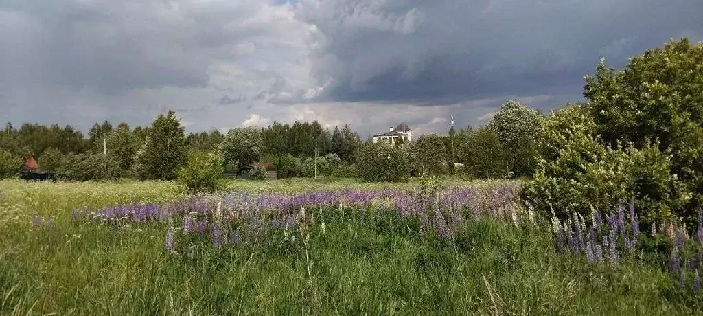 Участок в Московская область, Одинцовский городской округ, ... - Фото 1