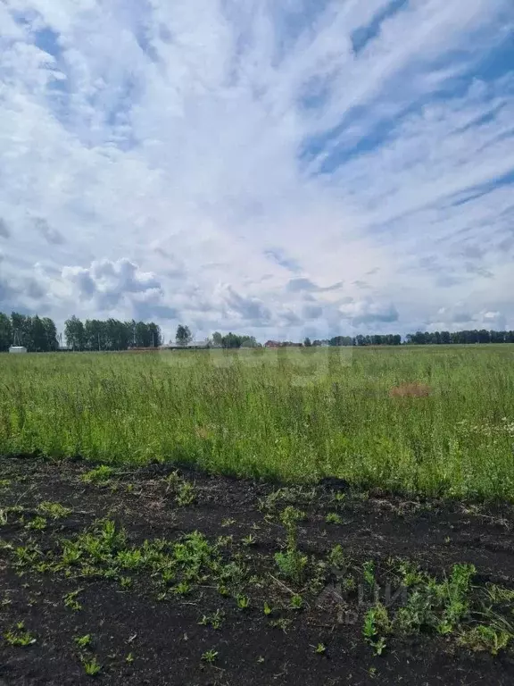 Участок в Мордовия, Лямбирский район, Берсеневское с/пос, Альтерра кп  ... - Фото 2