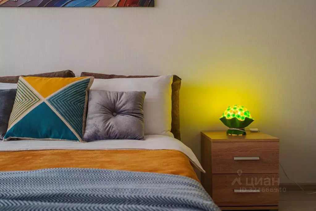 1-к кв. Свердловская область, Екатеринбург пер. Черниговский, 20 (28.0 ... - Фото 2