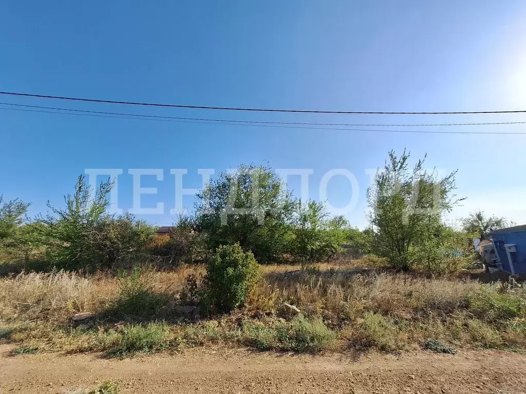 Участок в Ростовская область, Родионово-Несветайский район, ... - Фото 2