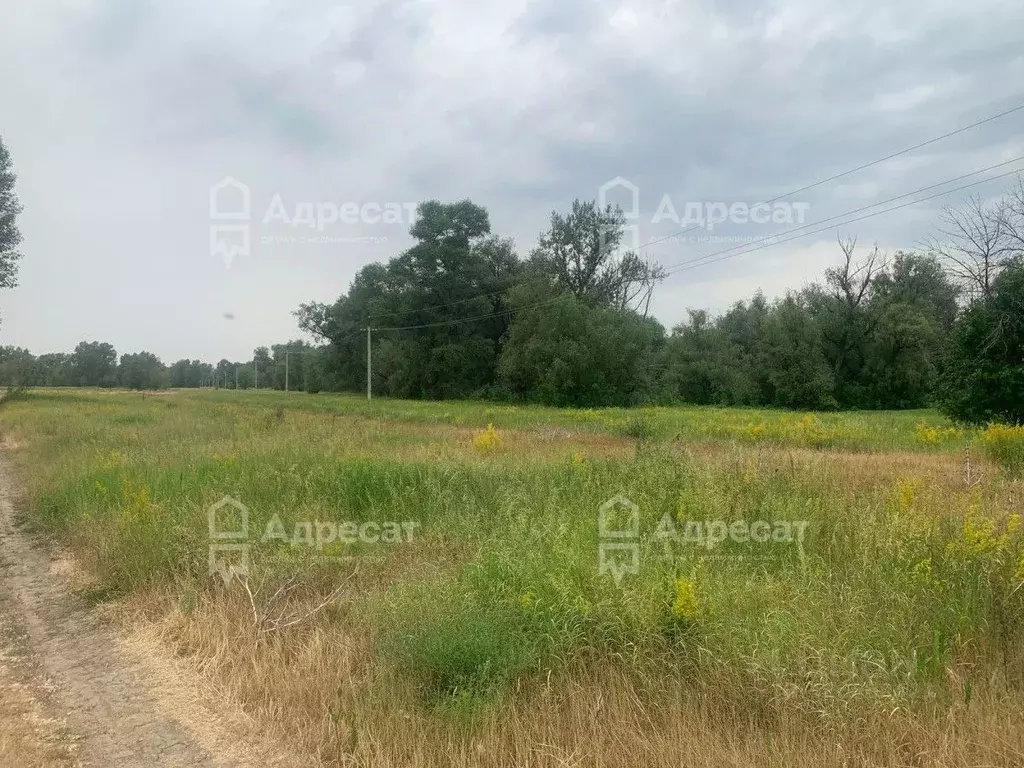 Участок в Волгоградская область, Ленинский район, с. Покровка  (1100.0 ... - Фото 1