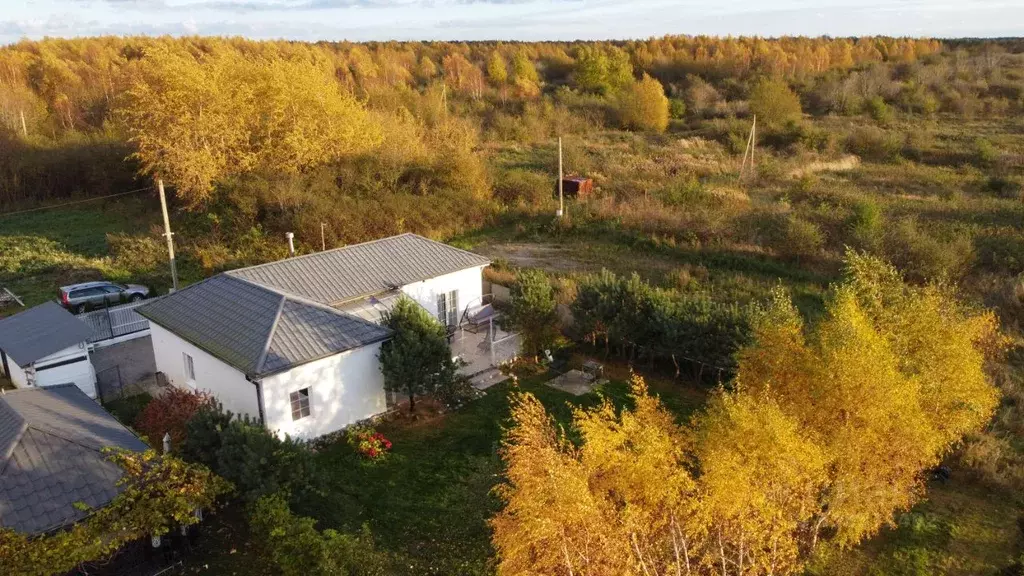 Дом в Калининградская область, Янтарный городской округ, пос. Синявино ... - Фото 2