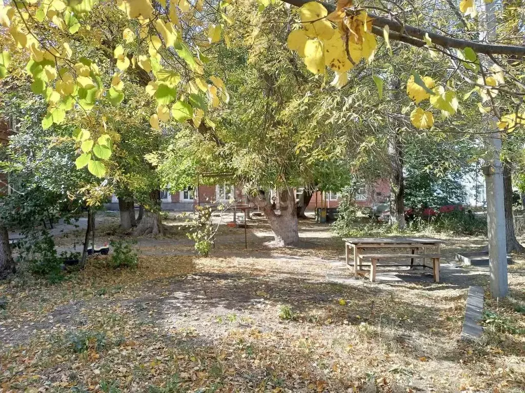2-к кв. Саратовская область, Балашов ул. Ленина, 49 (47.7 м) - Фото 0