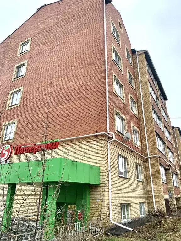 2-к кв. Омская область, Омский район, с. Троицкое, Ясная Поляна мкр ... - Фото 2