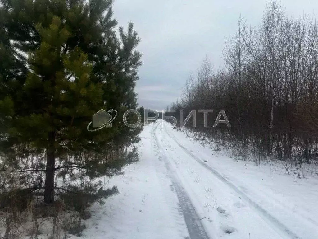 Участок в Тюменская область, Тюменский район, с. Горьковка Сибирская ... - Фото 0