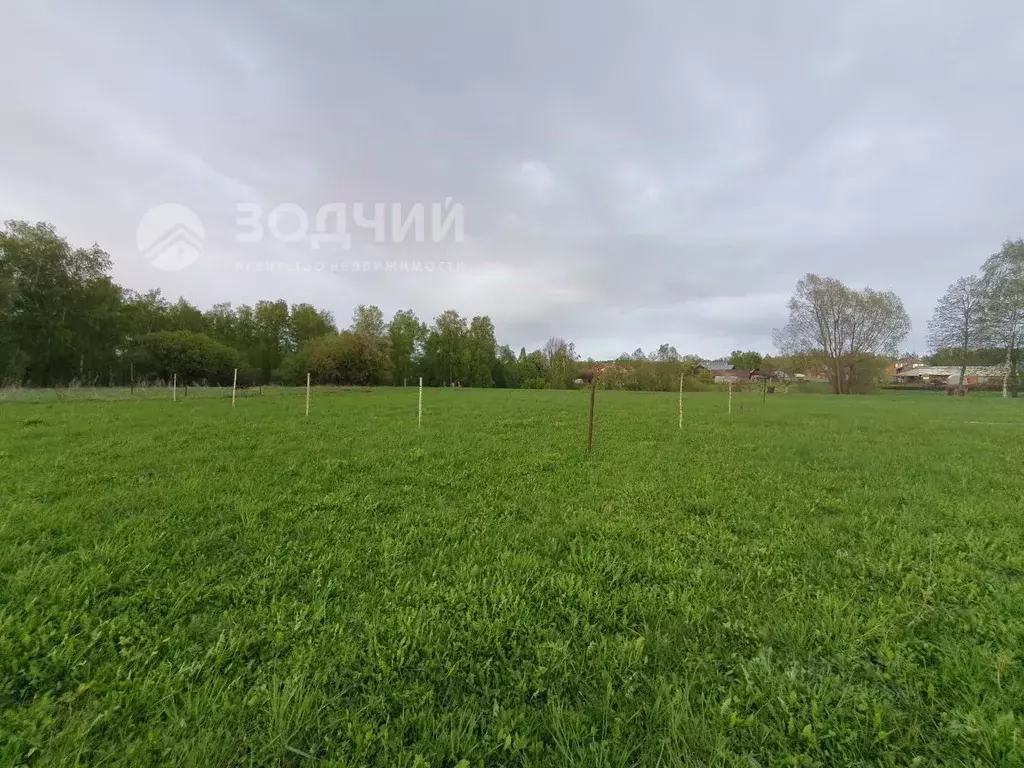 Участок в Чувашия, Чебоксарский муниципальный округ, с. Хыркасы ул. ... - Фото 1