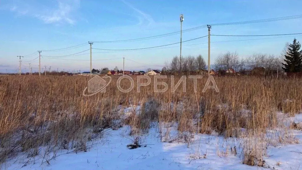Участок в Тюменская область, Тюмень Плодовое СНТ, ул. Березовая (9.0 ... - Фото 0