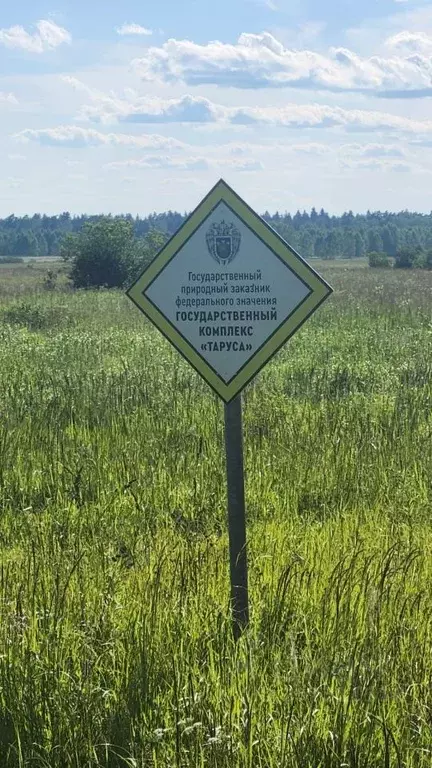 Участок в Калужская область, Жуковский район, Тростье с/пос, с. ... - Фото 1